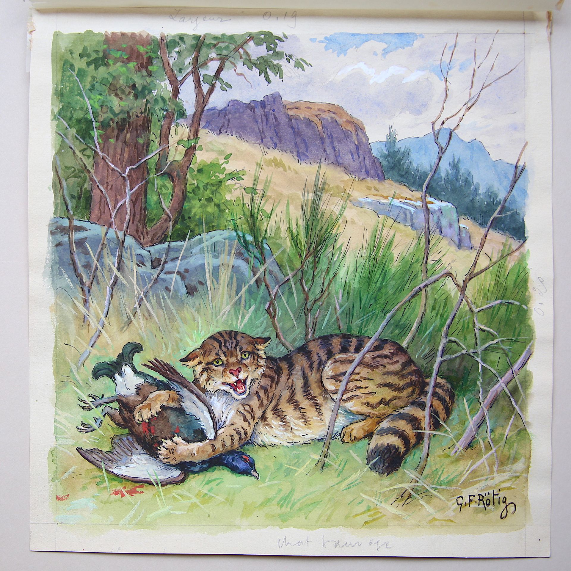 Null 
乔治-弗雷德里克-罗蒂格（1873 - 1961）。

"野猫和它的猎物"。

水粉画，右下角有签名，右下角有标题

尺寸：21,8 x 21 cm