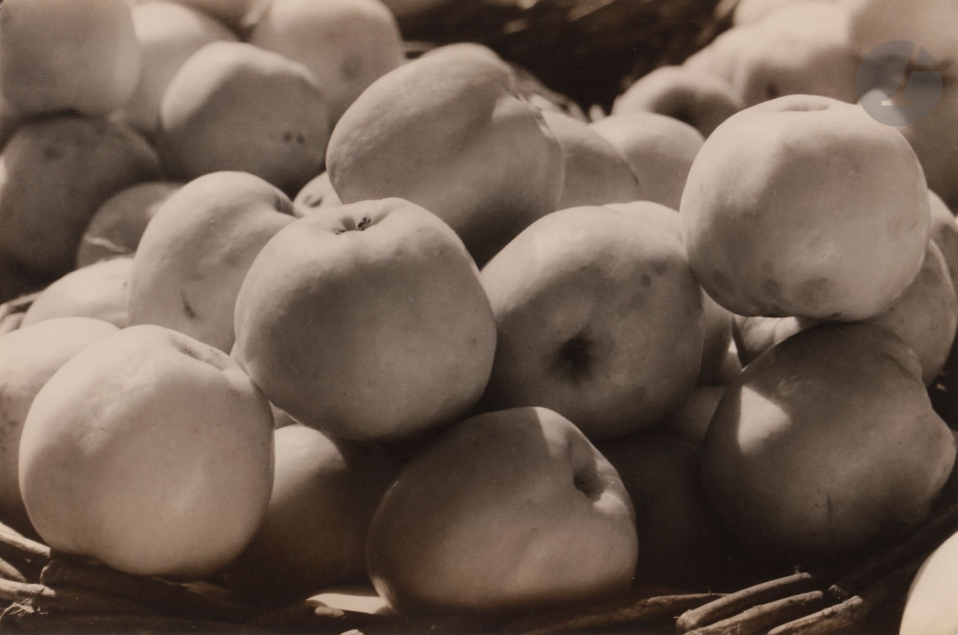 Null *Robert Diament (1907-1987)
Pommes Antonovka, 1936. 
Épreuve argentique d’é&hellip;