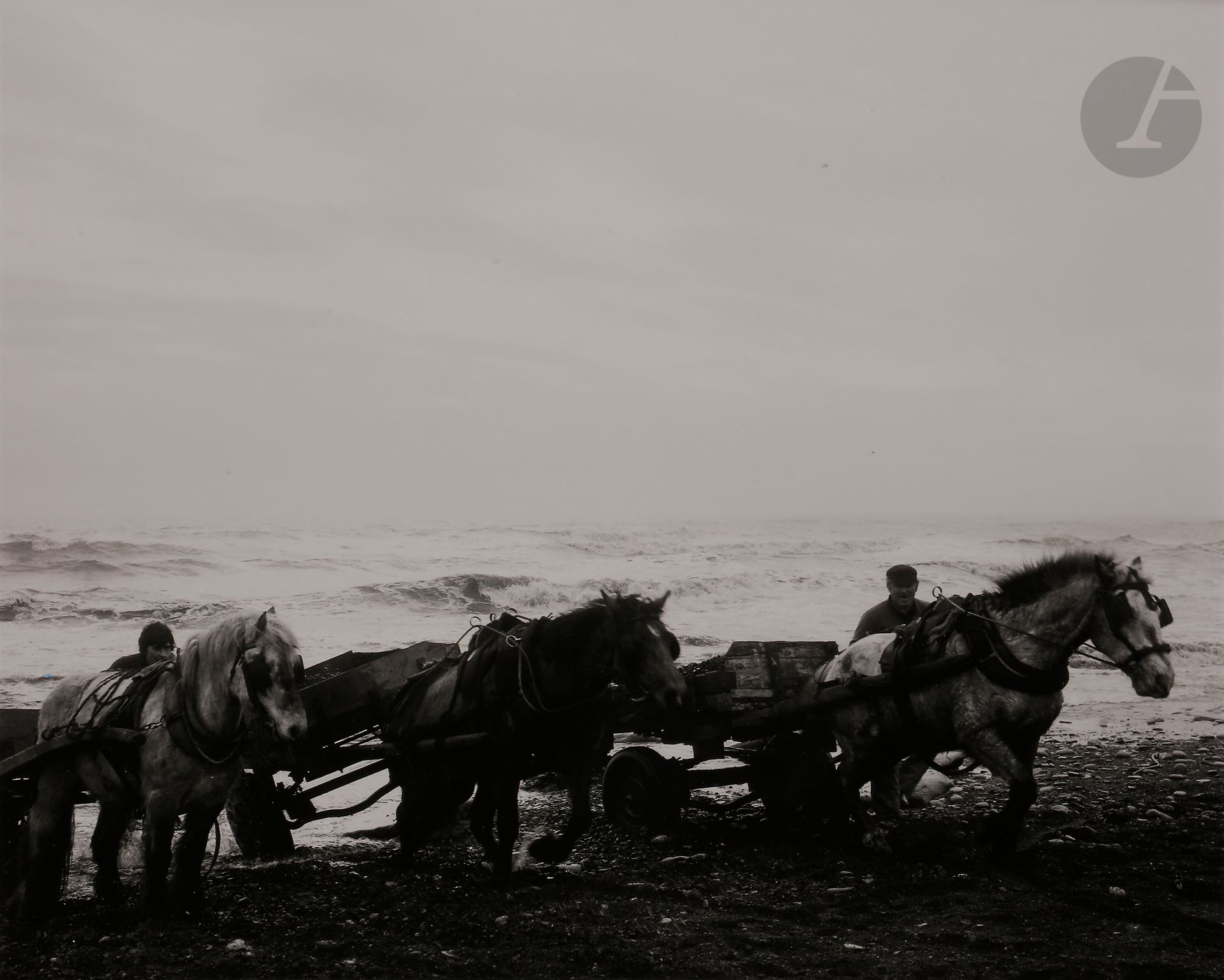 Null *Chris Killip (1946-2020)
Horses. Seacoal beach. Lynemouth, Northumberland,&hellip;