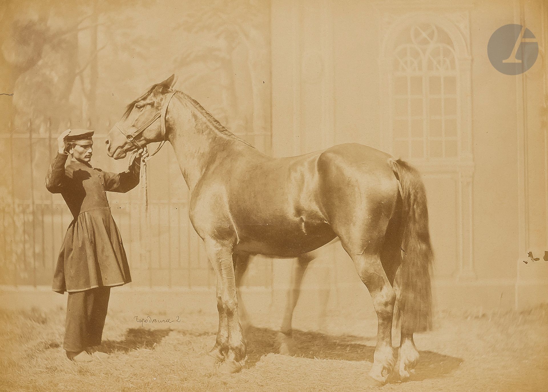 Null NN LISITSYN (XIXe siècle), photographe des haras d’État. Vers 1875
20 photo&hellip;