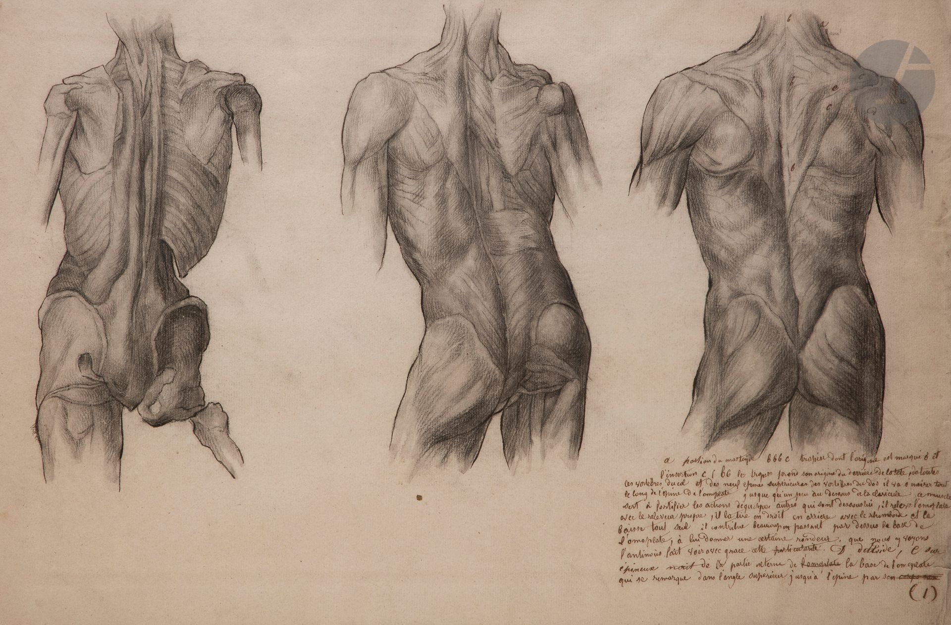 Null école française du XIXe siècle
Deux études d’anatomie
Crayon noir, plume et&hellip;