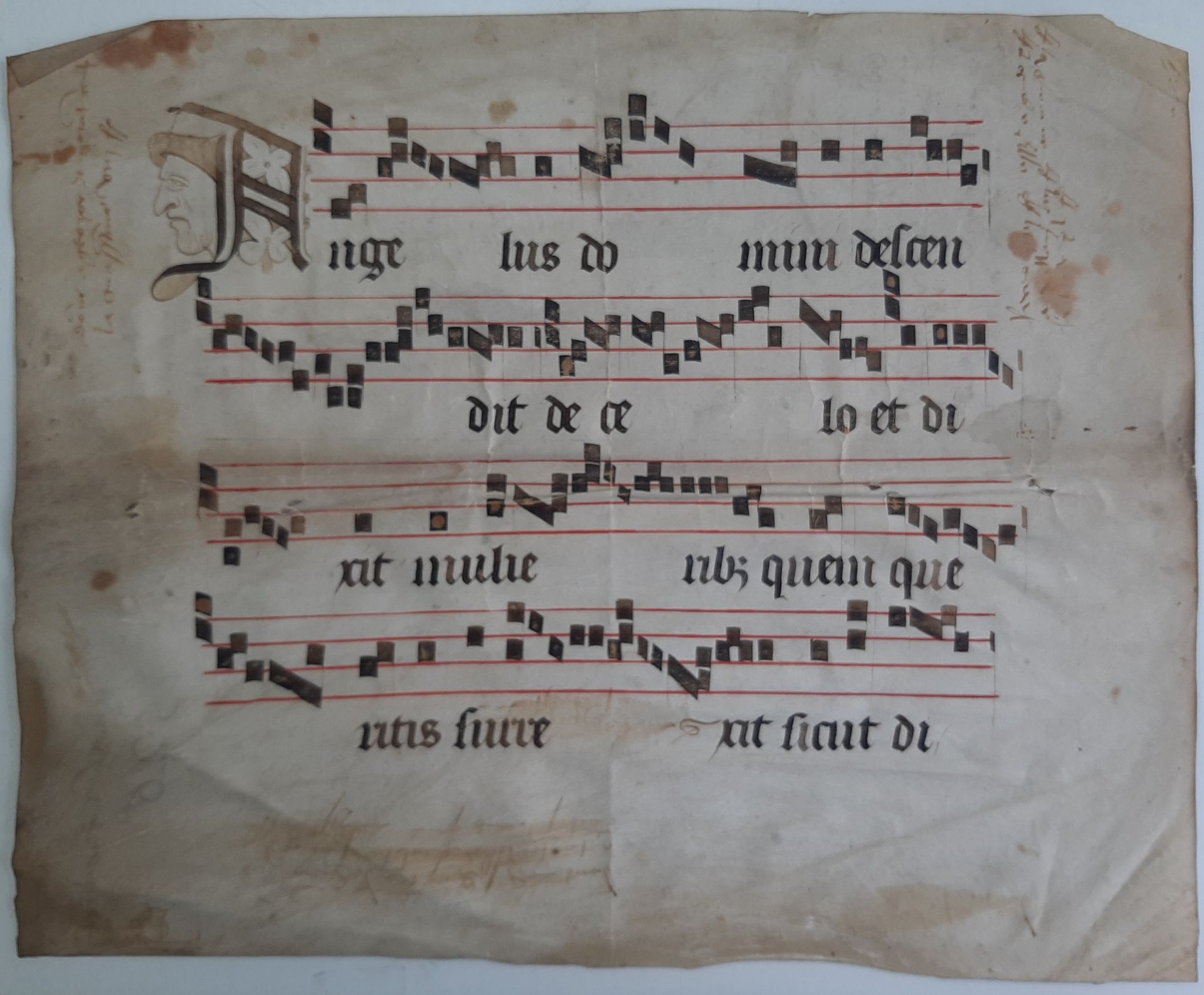 Null [ENLUMINURE].
Partie de feuillet manuscrit extrait d’un livre de chœur
En l&hellip;