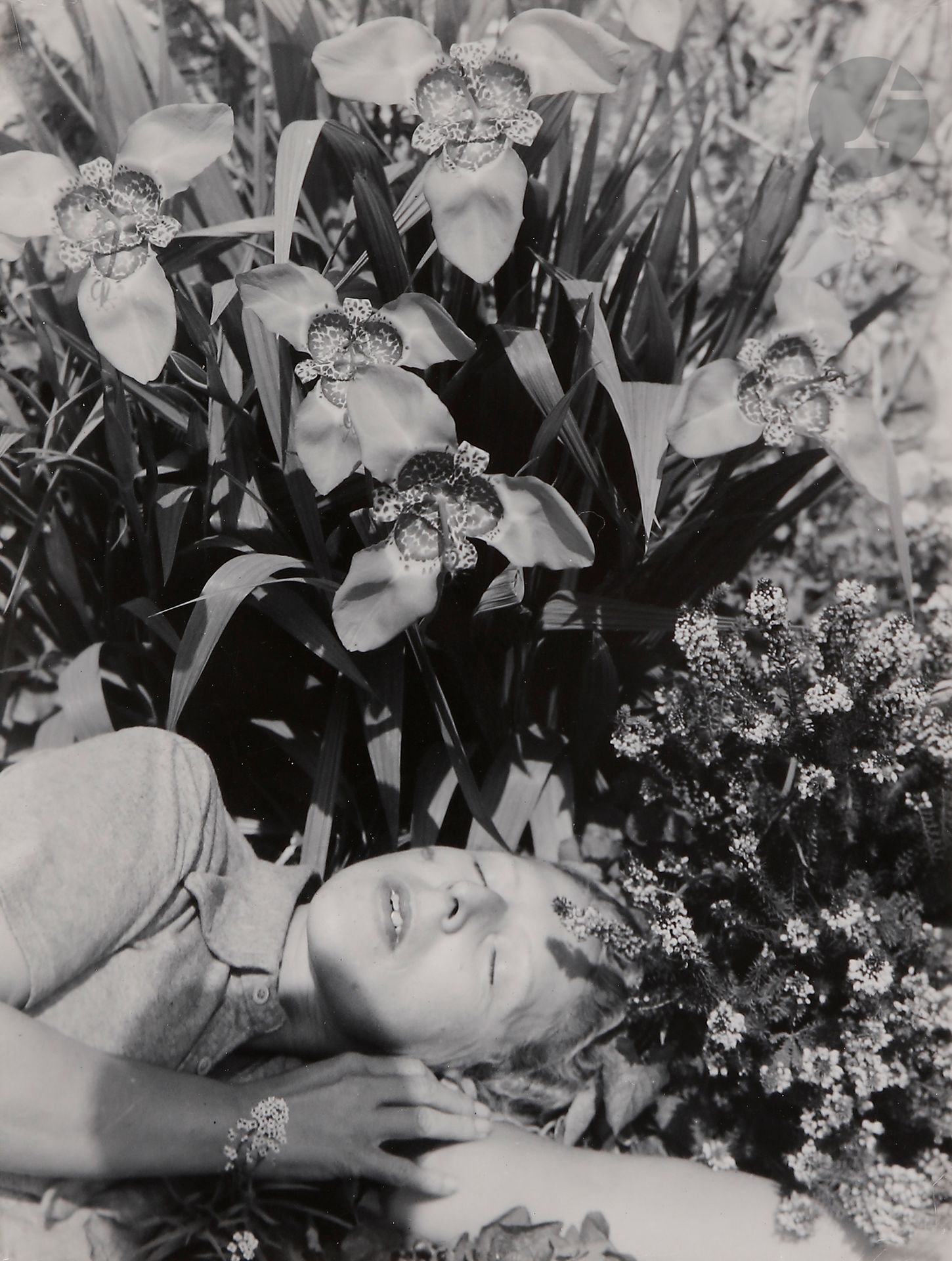 Null Claude Cahun (Lucy Schwob, dite) (1894-1954)
Autoportrait aux orchidées, 19&hellip;