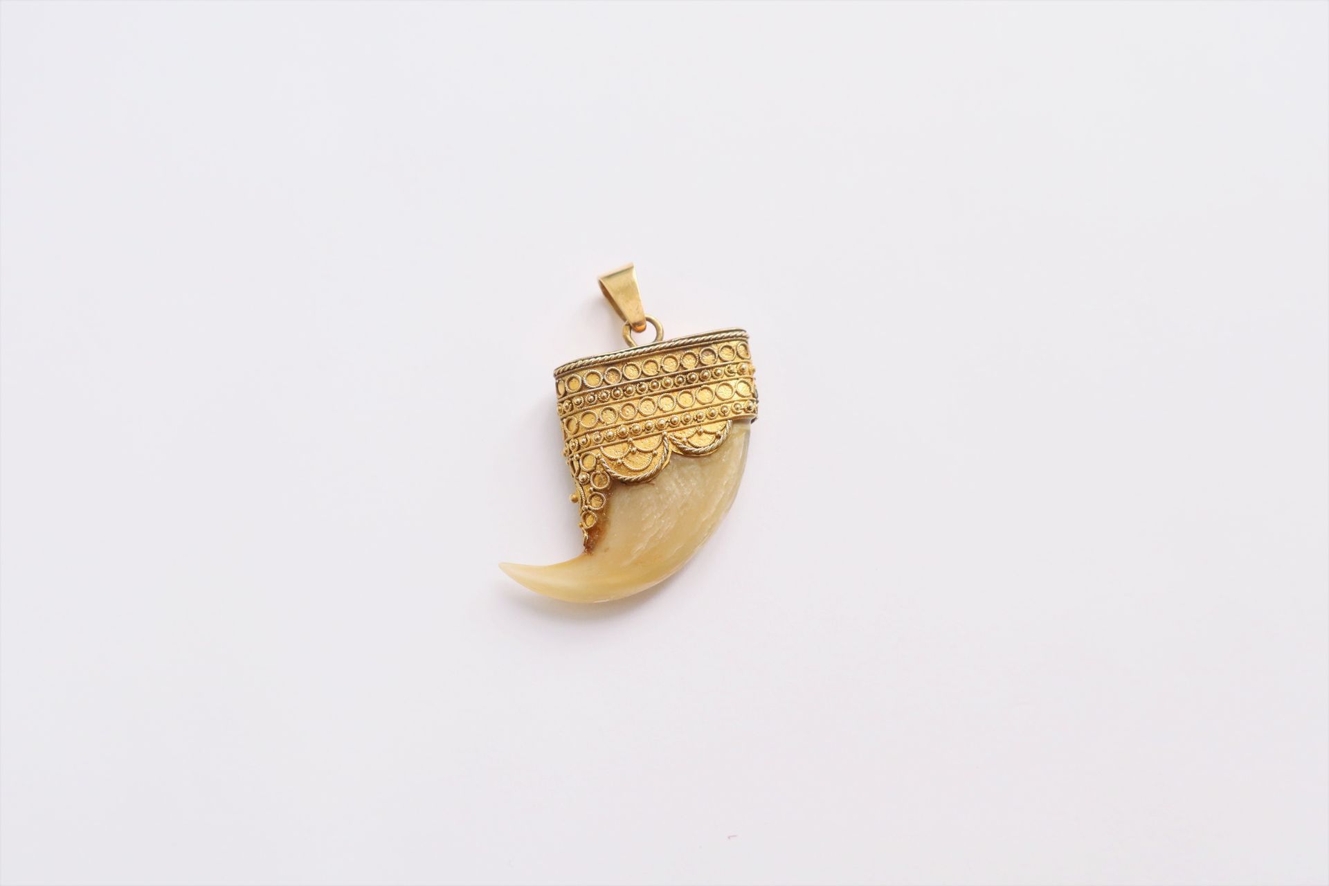 Null Pendant made of a wild animal claw mounted in 14K (585) gold. Gross weight &hellip;