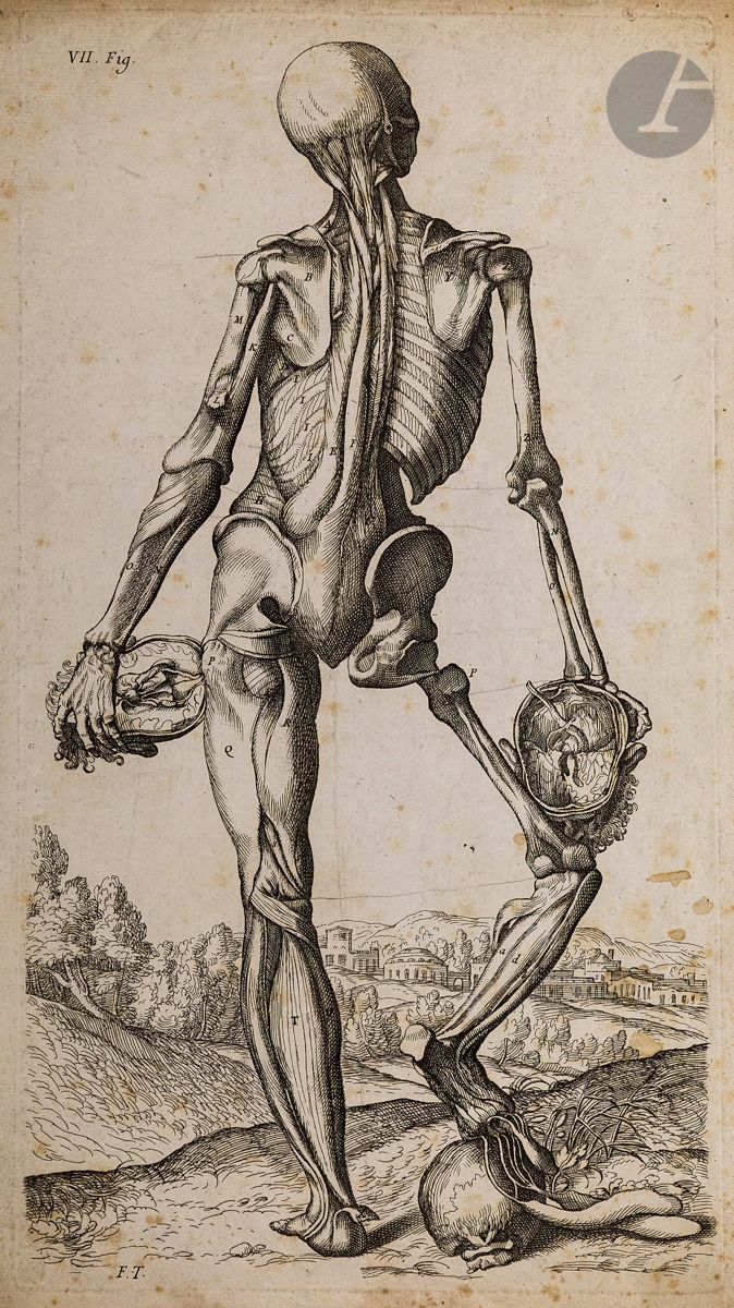 Null François Tortebat (1616-1690)
Piles (Roger de).Abrégé d'Anatomie的定义，适用于绘画和雕&hellip;
