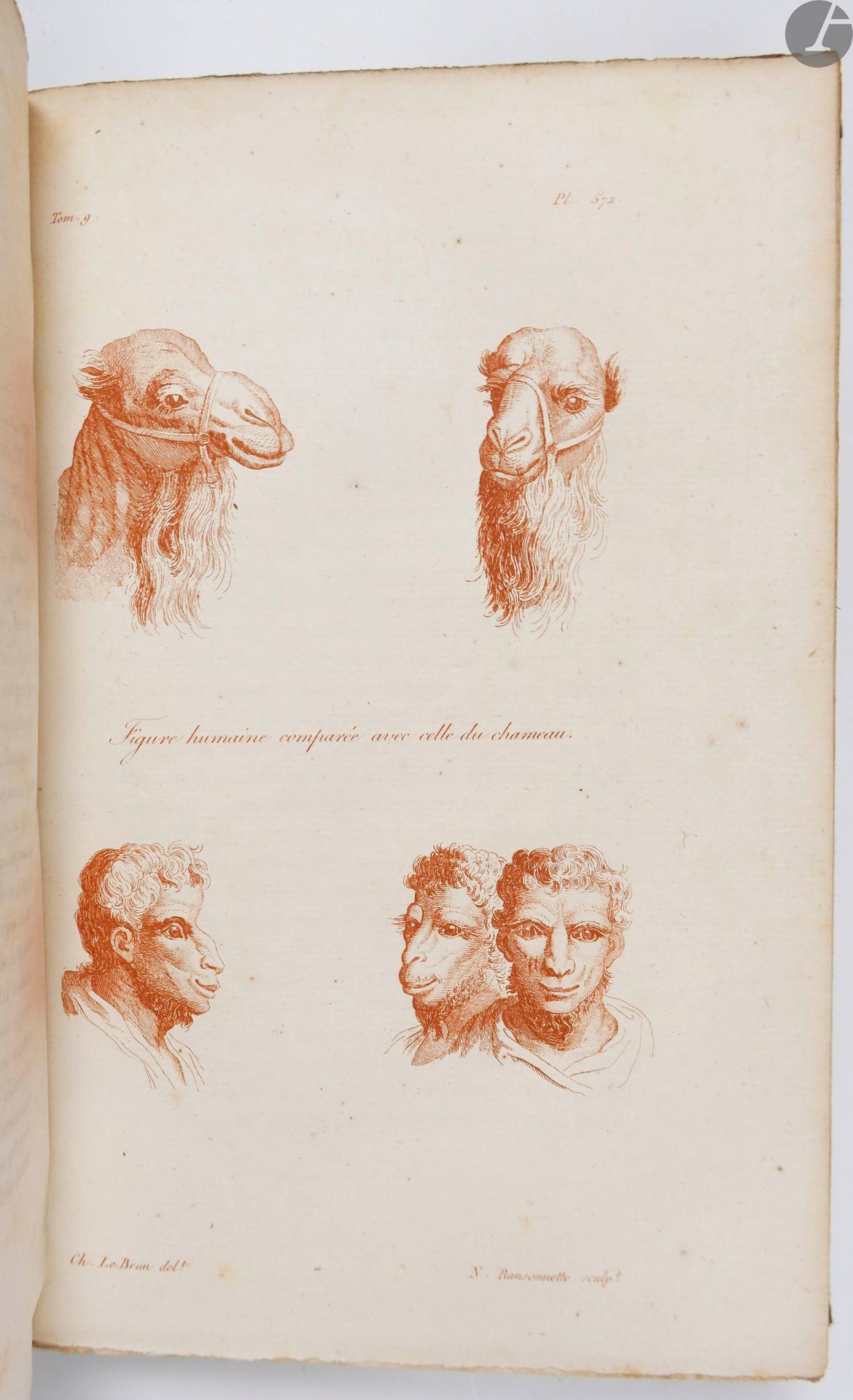 Null 拉瓦特（约翰-卡斯帕）。
通过面相学了解人的艺术。
巴黎：Depélafol, 1820。- 10卷8开本，半红摩洛哥，带角，书脊有假带，未修剪（时期&hellip;