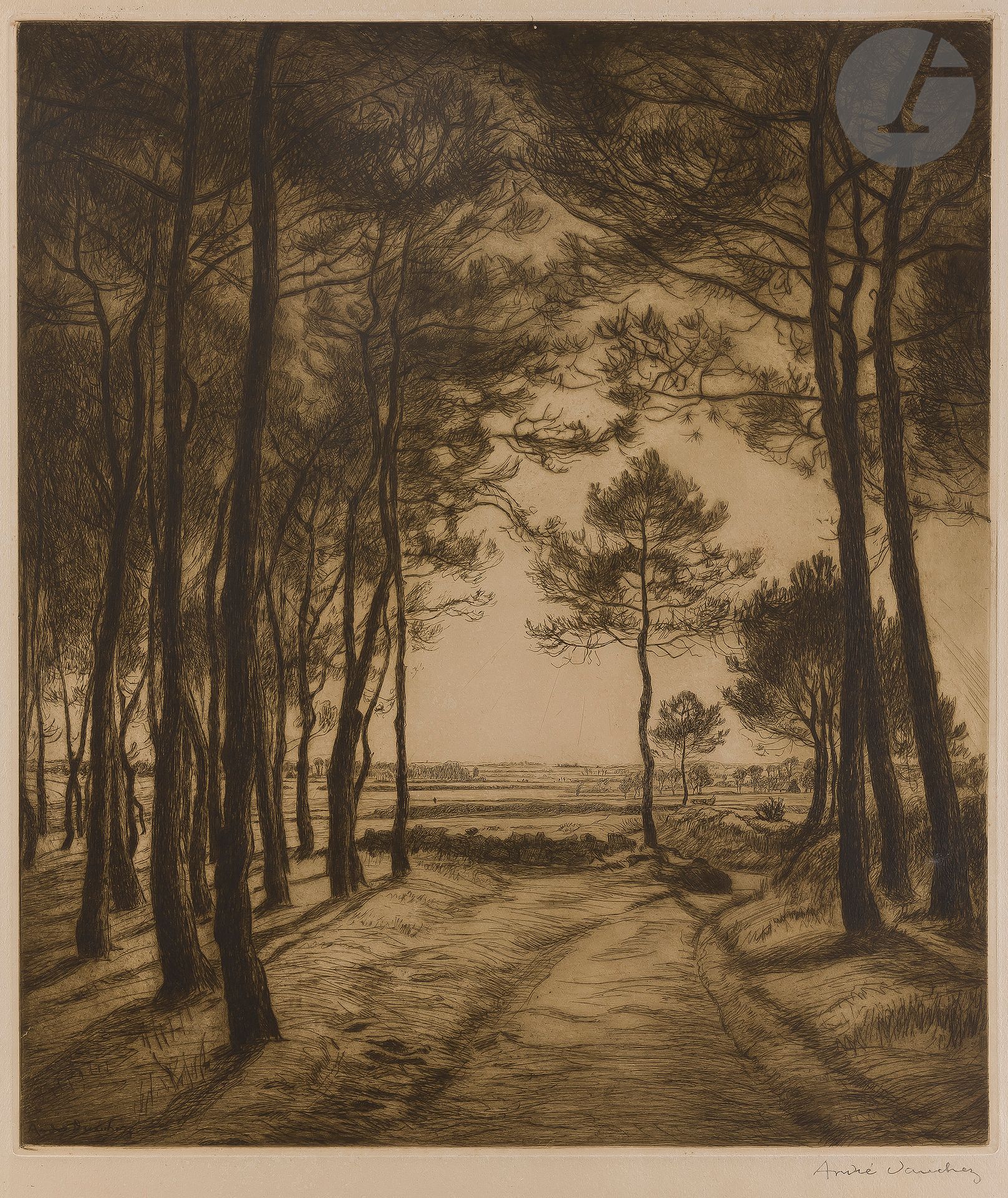 Null André Dauchez (1870-1948) 

Camino bajo los pinos. 1908. Grabado. 525 x 585&hellip;