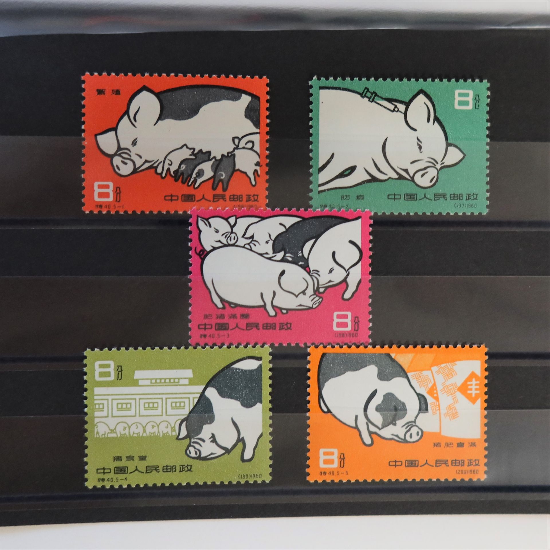 Null [CHINA]
Superb complete set n° 1304 to 1308 "Pig breeding", new, luxury.