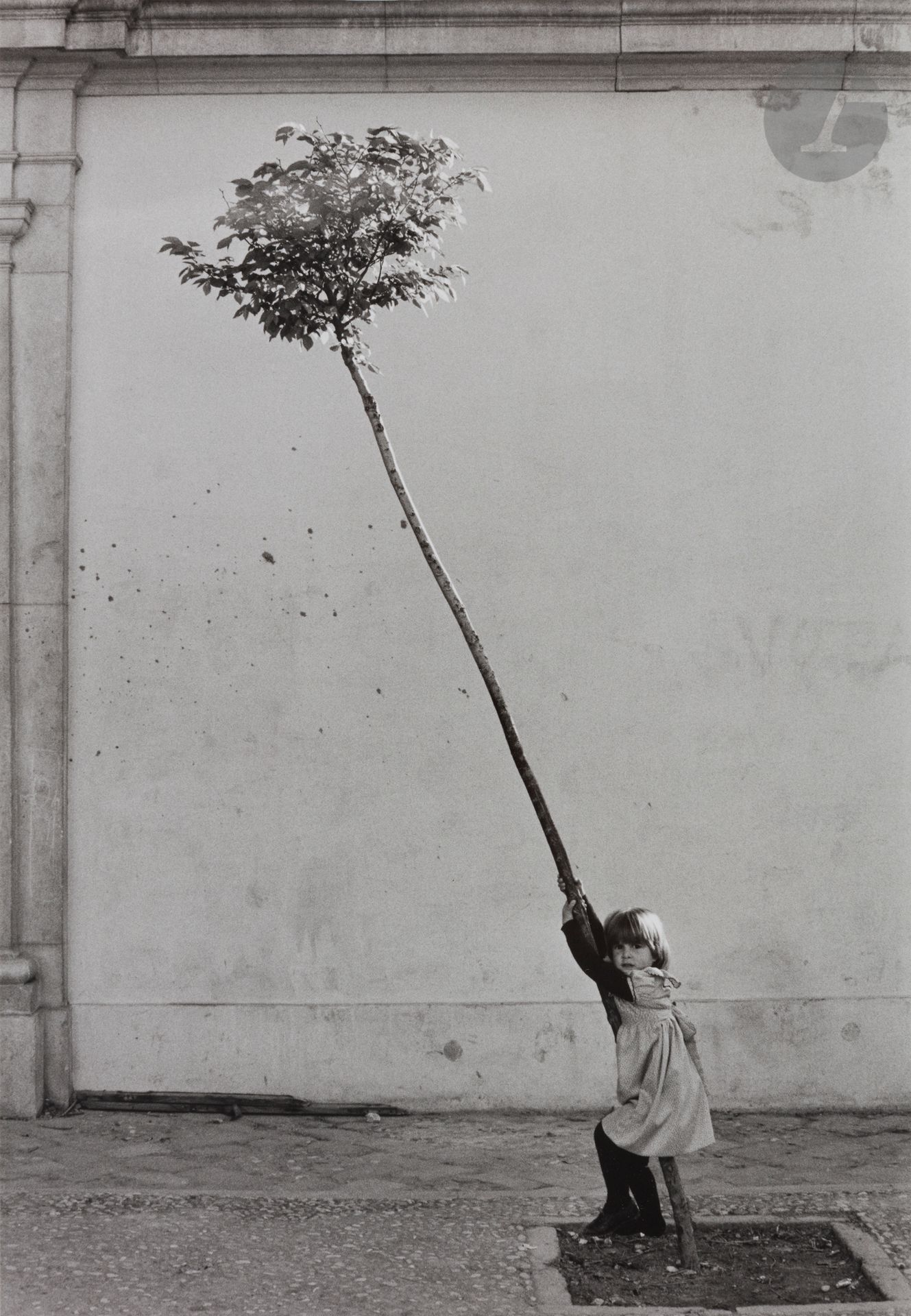 Null 萨宾-魏斯(1924-2021) 
小女孩，小树，1981年。 
银版画（约2000年），右下角有墨水签名。背面有铅笔写的底片编号。 
图像：36 x&hellip;