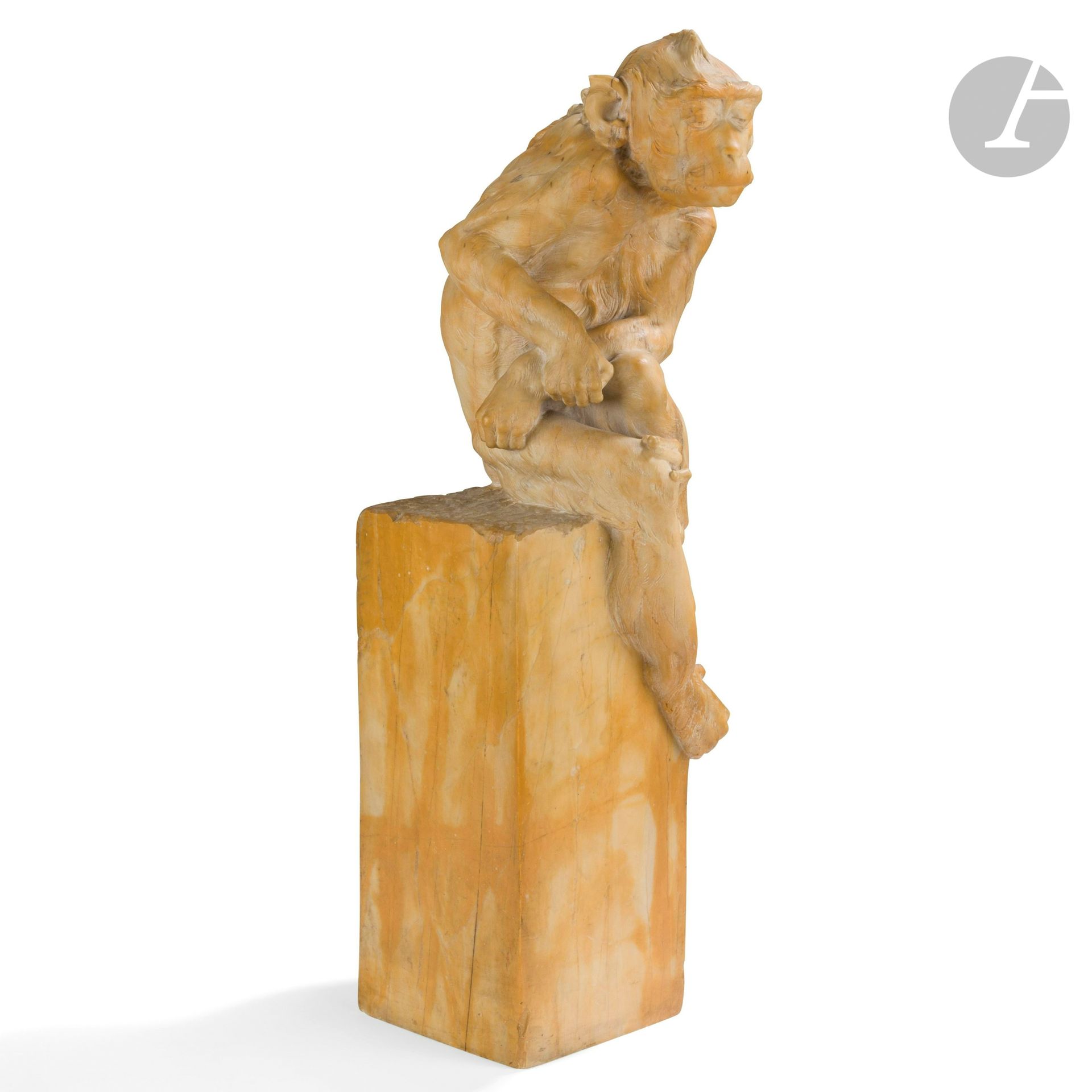 Null 莫里斯-罗杰-马克思(1872-1956)
做梦的猴子，1910年
雕塑。
锡耶纳大理石材质的证明。
一侧的底座顶部有M. MARX 1910年的签名&hellip;