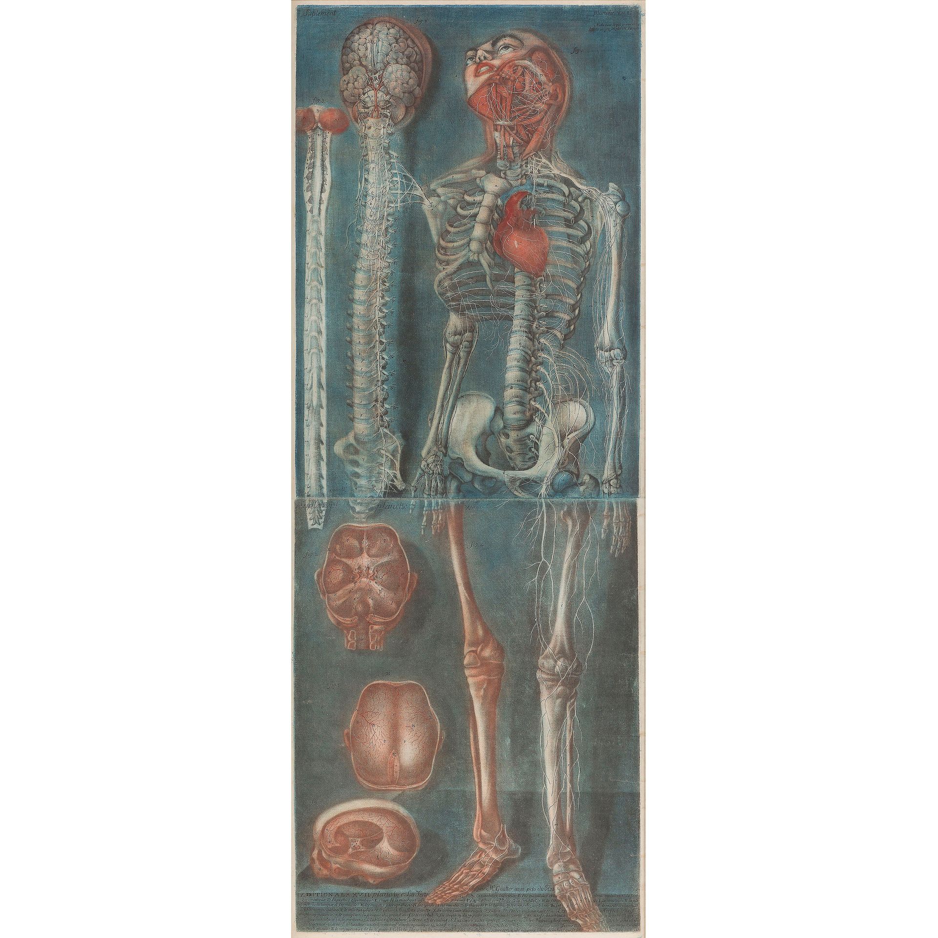Null JACQUES-FABIEN GAUTIER DAGOTY

(1710-1781)

Skeleton and skulls

Plates nos&hellip;