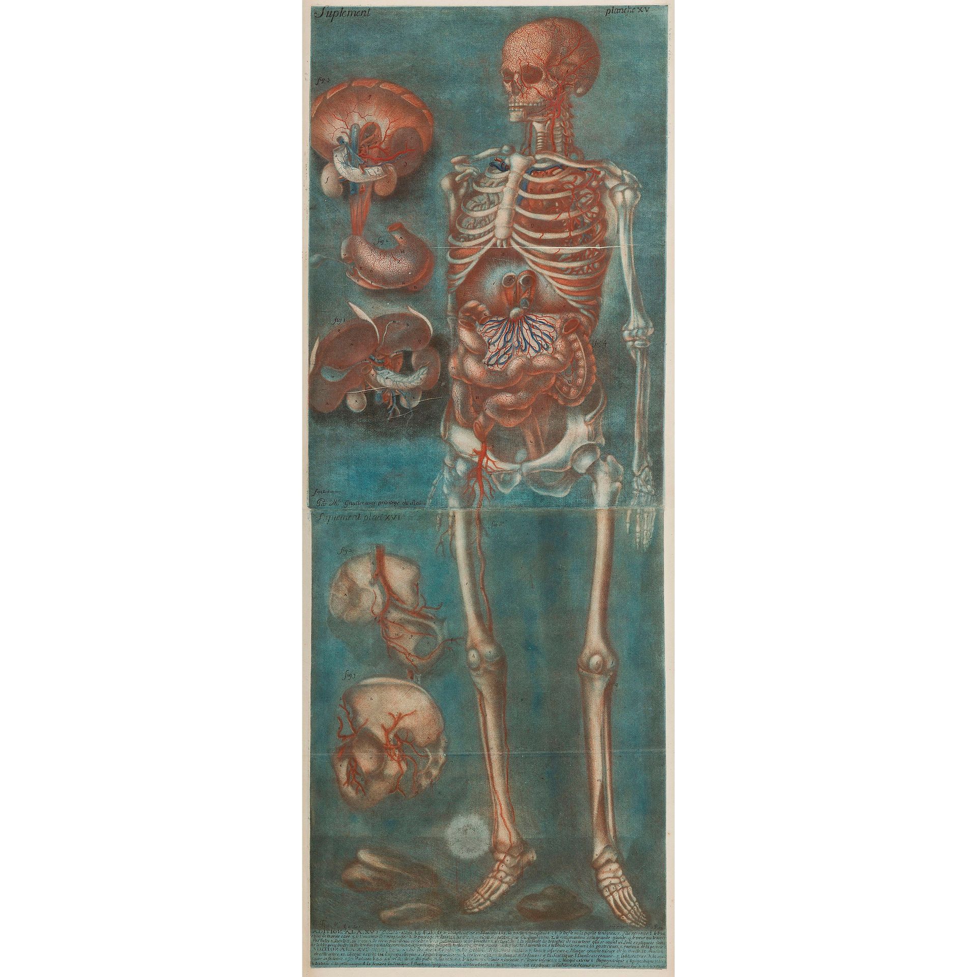 Null JACQUES-FABIEN GAUTIER DAGOTY

(1710-1781)

Skelett

Planches nos XV et XVI&hellip;