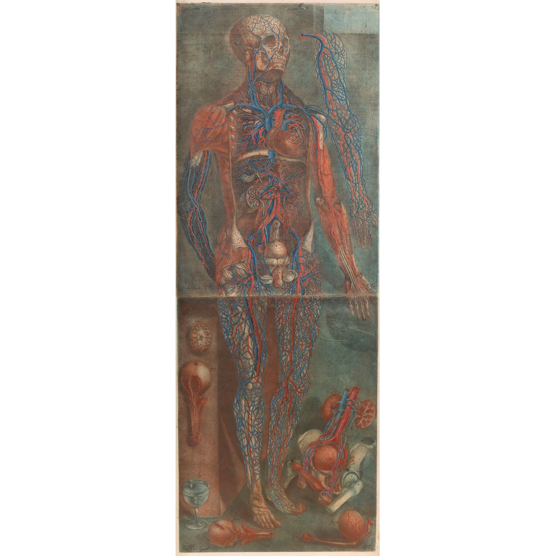 Null JACQUES-FABIEN GAUTIER DAGOTY

(1710-1781)

Dissected man 

Dissected plate&hellip;