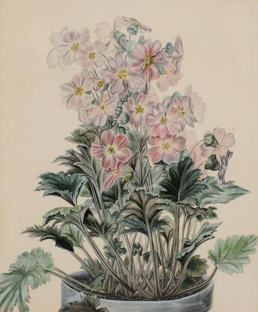 École Française du XIXe siècle 
Vase de fleurs
Aquarelle.
Non signée.
27 x 22.5 &hellip;