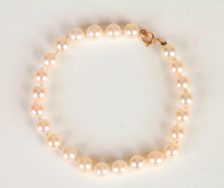 Null Bracelet de perles de culture, fermoir en or. Longueur : 19 cm environ. 
Po&hellip;