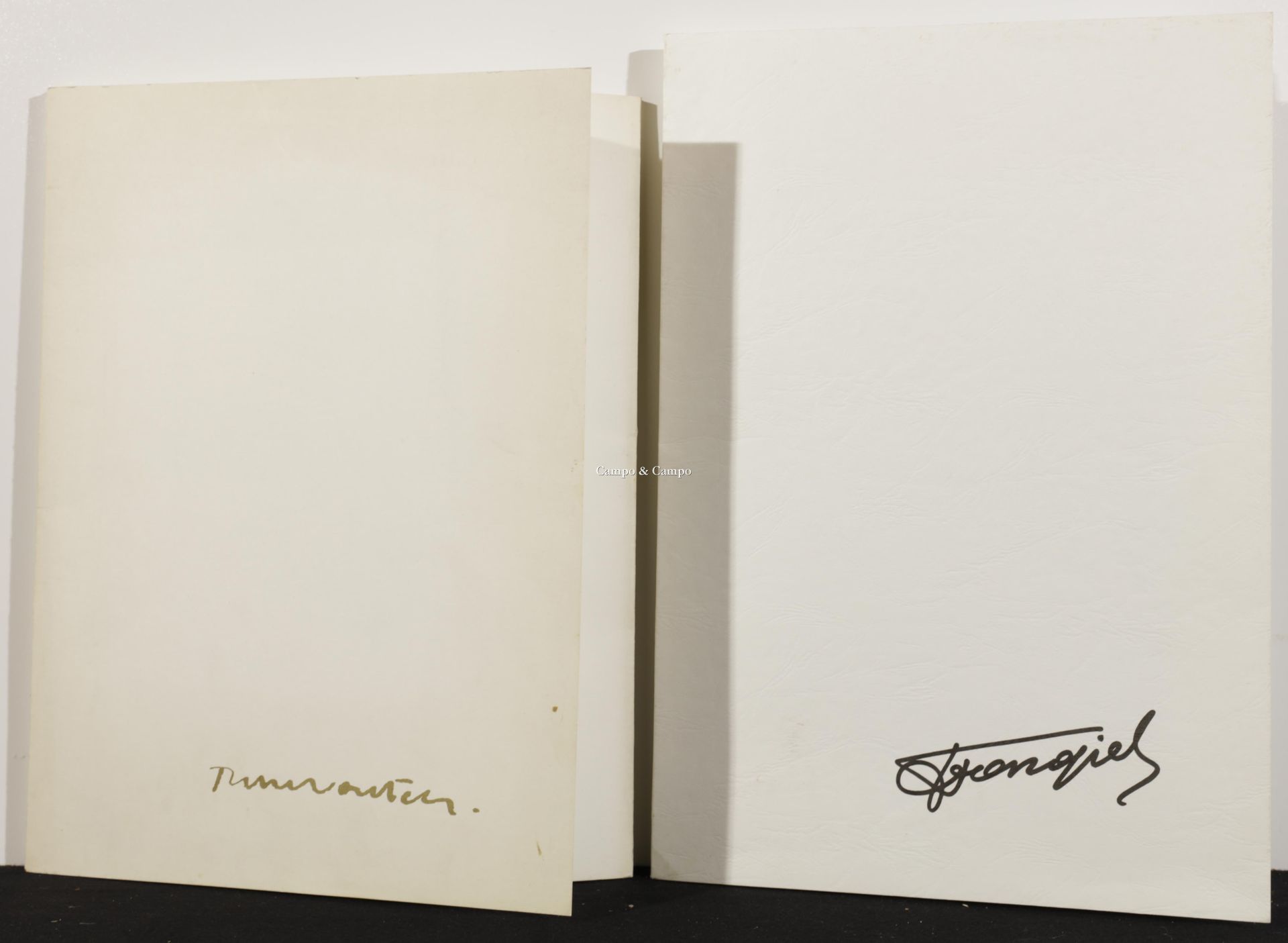 VAN GIEL FRANS + WOUTERS RIK 两份带插图的文件夹
一批两件艺术品的胶版印刷品