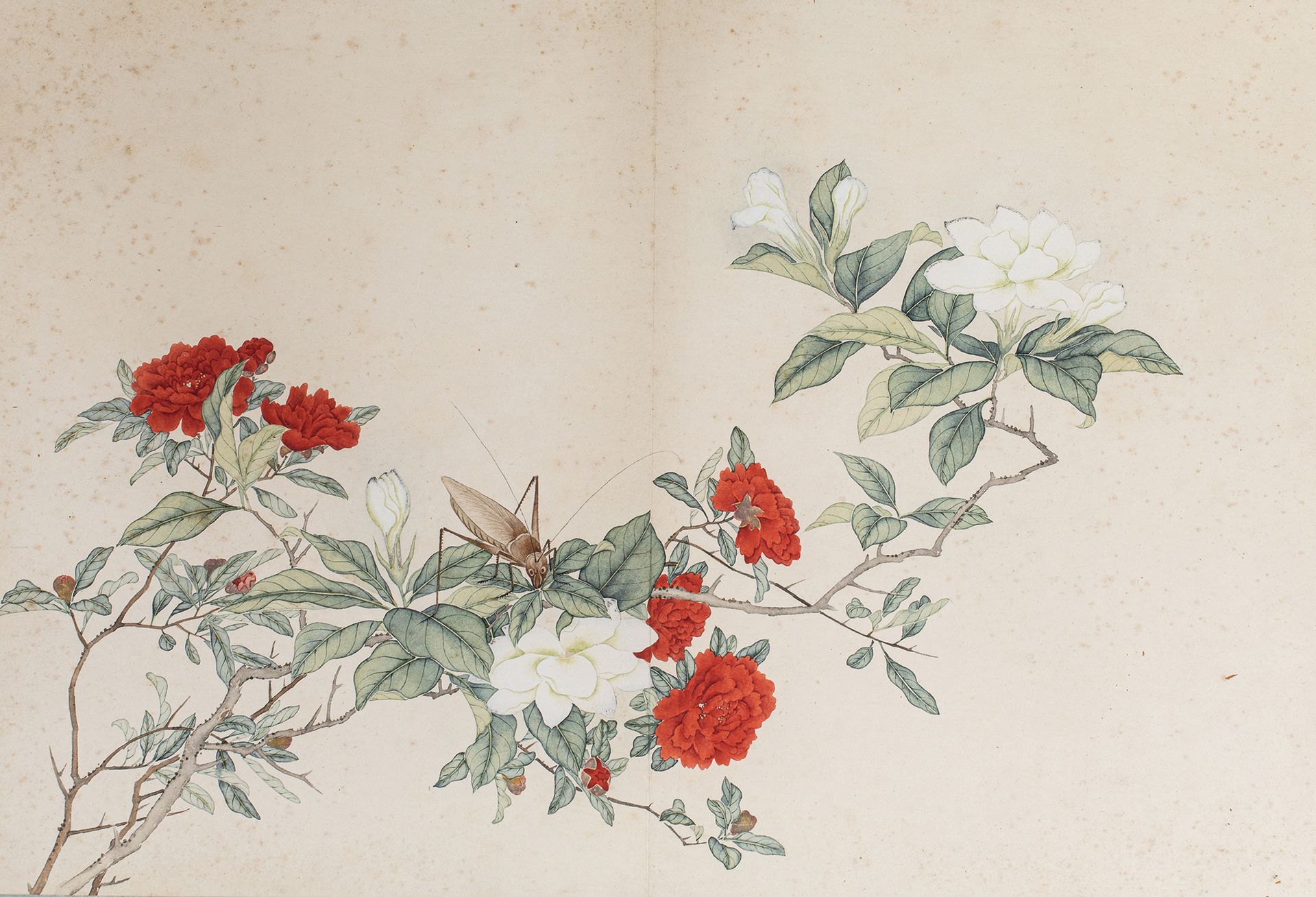 Null 
Pittura floreale su carta. Cina 18° secolo

H. 32 cm L.49 cm