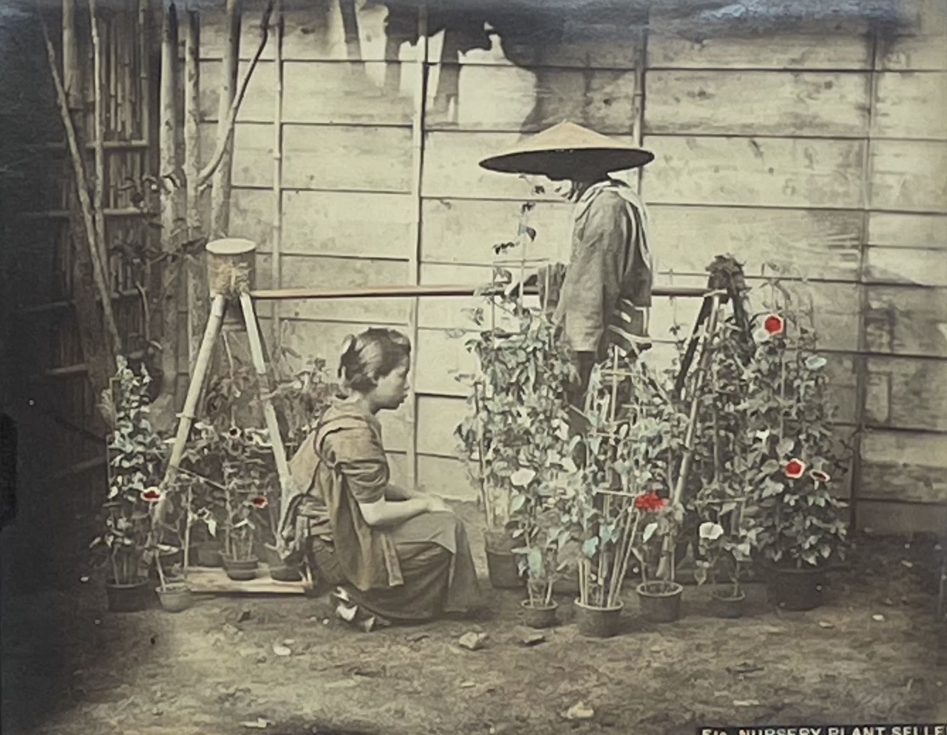 ANONYME. "Nursery Plant Seller" (ca 1860-1880). Print on albumen paper, titled, &hellip;