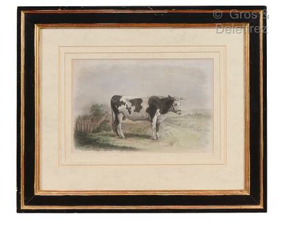 null Ecoles du XIXe siècle

Vaches aux champs

Suite de quatre lithographies en couleur

22...