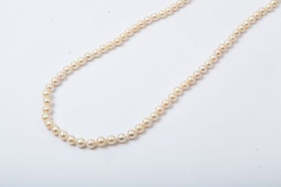 null Collier «?Chocker?» en perles de culture. Longueur?: 48cm. P. Brut?: 16g.