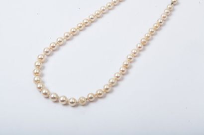 null Collier en légère chute de perles de culture, alterné sur neuf perles de maillons...