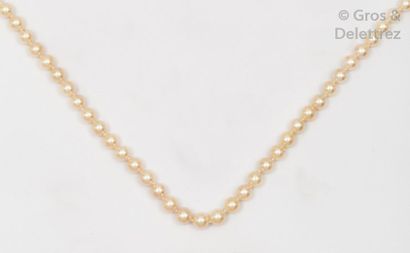 null Beau collier de cinquante-sept perles de culture japonaises Akoia. Fermoir en...