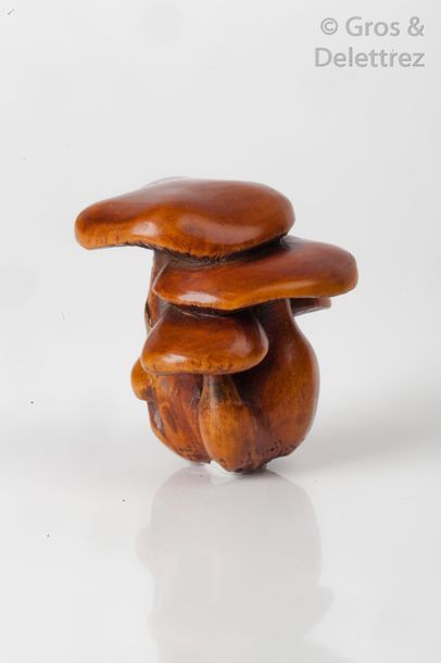 null Netsuke en bois représentant un groupe de cinq champignons sur lesquels sont...