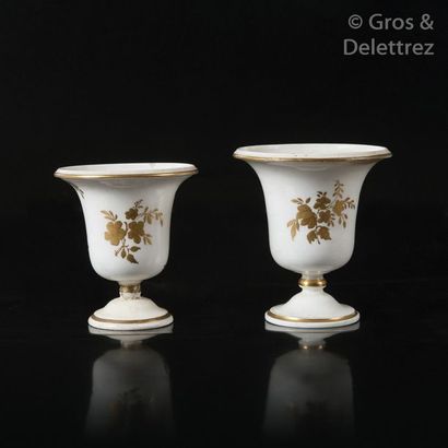 Vincennes Pair of Medici shaped vases in...