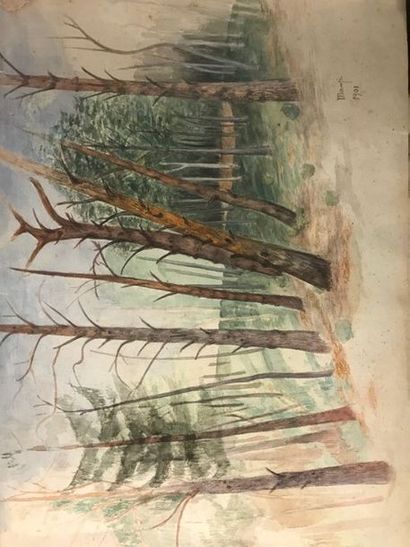 null Michele MANZI dit Michel MANZI (1849-1915) Watercolour fir landscape Signed...