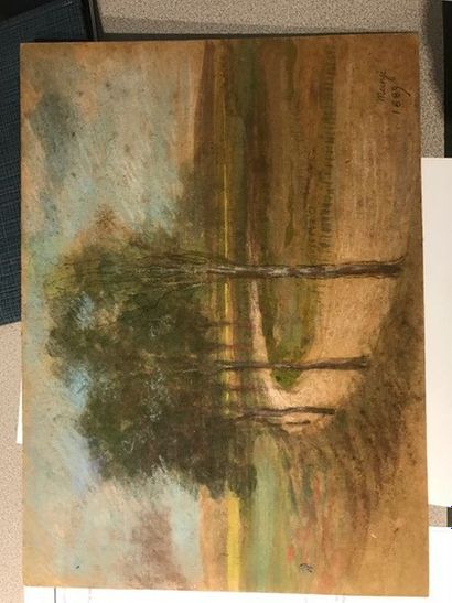 null Michele MANZI dit Michel MANZI (1849-1915) Landscape at the Pastel road Signed...