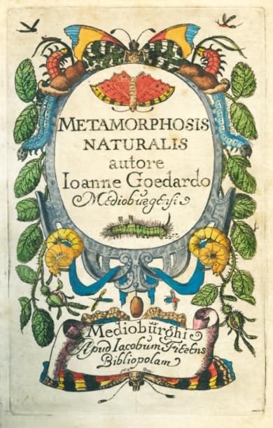 GOEDART Jean Metamorphosis naturalis, ofte historische beschryvinghe. Middelburge,...