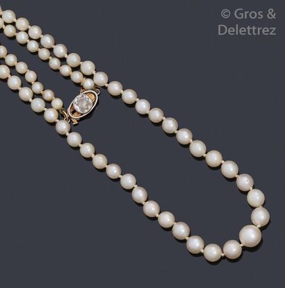 null Necklace in pearl fall, the ratchet clasp adorned with an old-cut diamond. Longueur :...