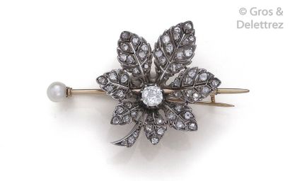null Charming " Feuille de Châtaignier " brooch in yellow gold (18, 14 and 9K) and...