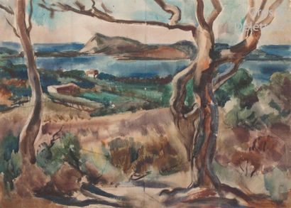 null Willy EISENSCHITZ (1889-1974) 

Provençal coast

Watercolor signed lower right....