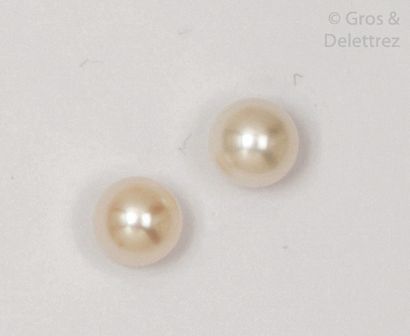 null Pair of yellow gold earrings, each adorned with a cultured pearl. P. Brut :...