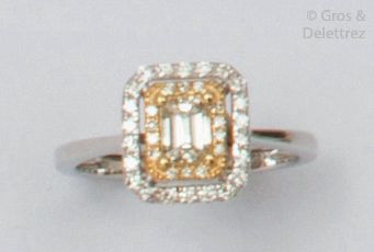 null White gold ring set with a rectangular diamond with cut sides in a double entourage...