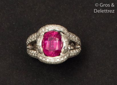 null White gold ring, adorned with an oval rubellite in a setting of interlacing...