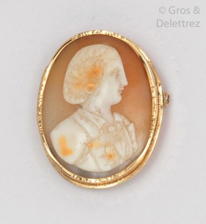 null Yellow gold brooch, adorned with a shell cameo representing a young man in profile....