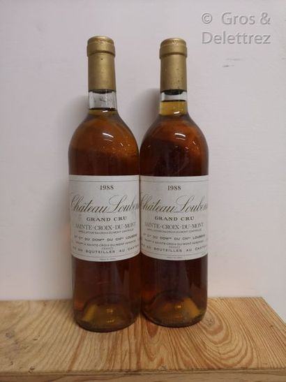 CHÂTEAU LOUBENS Ste Croix du Mont 1988 2 bouteilles Étiquettes légèrement tachée...