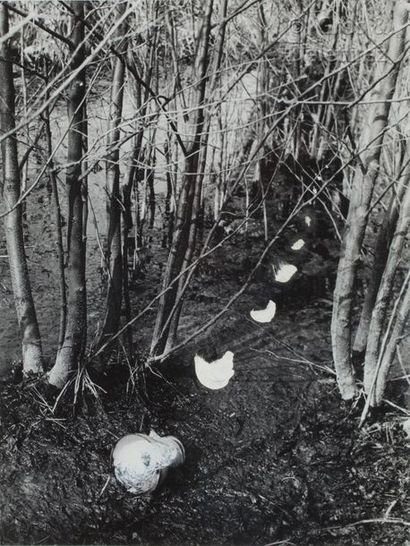 DALIBOR CHATRNY (CZE/ 1925-2012) Untitled (Marked underbrush)

Signed and dated 'D....