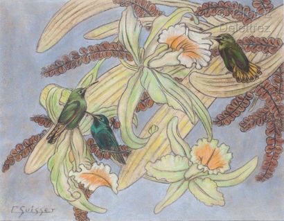 GASTON SUISSE (1896-1988) Hummingbirds in orchids

Oil pastel on Rives paper.

The...