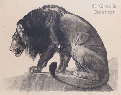 Paul JOUVE Lion guettant, 1925. 
Lithographie originale. 
Signée, et justifiée 10/99,...