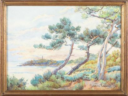 Jeanne LACONET (XXe) Paysage aux pins maritimes

Aquarelle signée en bas à droite

29...