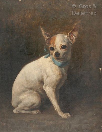 Louis-Eugène Lambert (1825-1900). Étude de chihuahua.

Huile sur toile signée en...