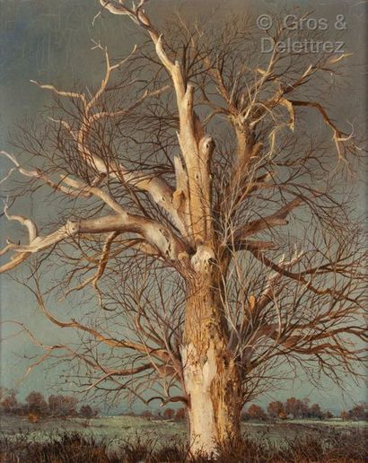 null Albert Drachkovitch THOMAS (1928- ?)

L’arbre dans un paysage

Peint en 1964

Huile...