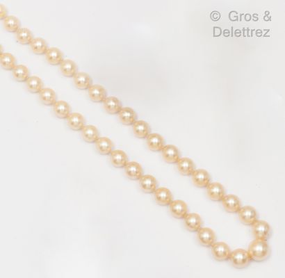 null Necklace of falling cultured pearls, the white gold clasp adorned with three...