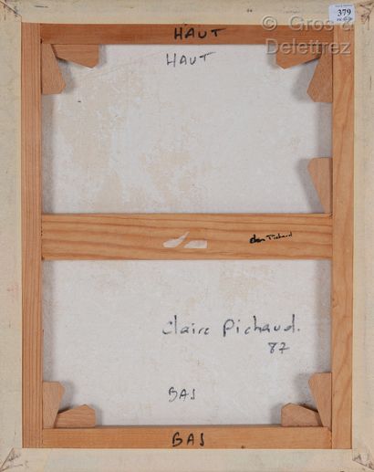 Claire PICHAUD (1935-2017) Sans titre, 1987

Acrylique sur toile froissée

(violet...