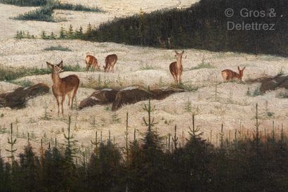 ECOLE ANGLAISE Deer in the snow

Oil on canvas

50 x 73cm

In a dark wood frame