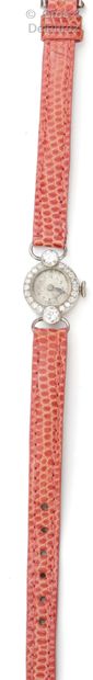 null Ladies' watch in platinum, round case surrounded by brilliant-cut diamonds,...