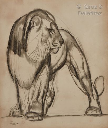 Paul JOUVE (1878-1973) Lion debout 
Crayon gras et estompe. 
Signé en bas à gauche....